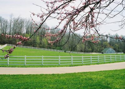 gorgeous green grounds with white picket fences