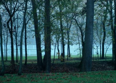 white picket fences seen through trees and fog