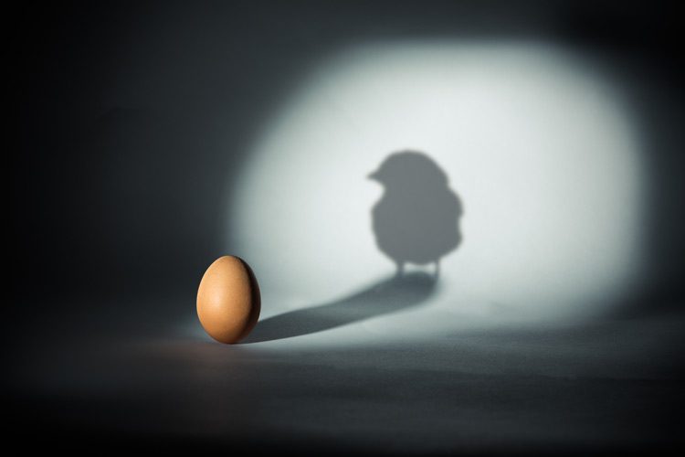 co-occurring mental health, co-occurring mental health, brown chicken egg on dark background with a spotlight on it, casting a shadow in the shape of a chick - joblessness and addiction